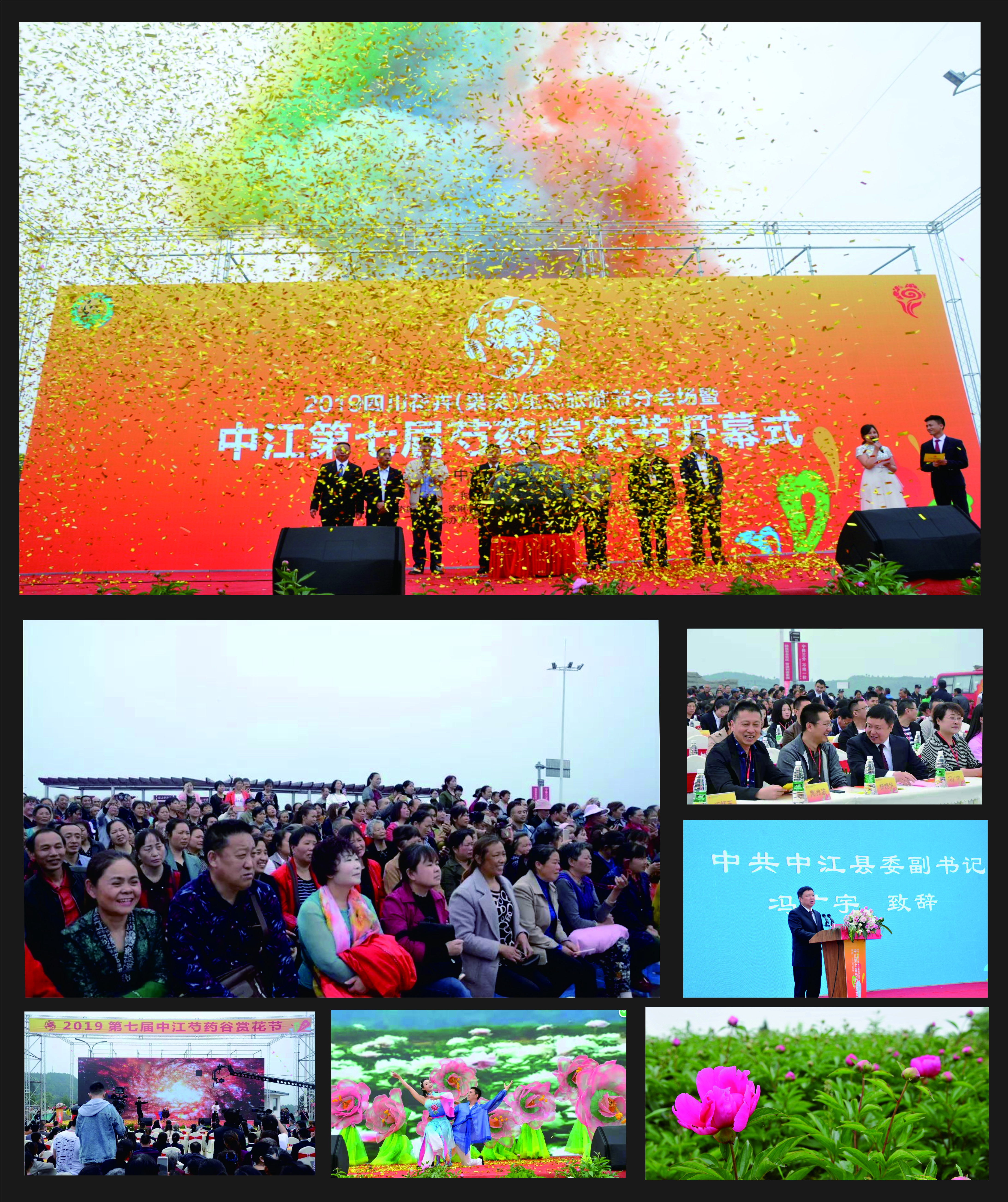 中江芍药谷赏花节开幕式(图1)